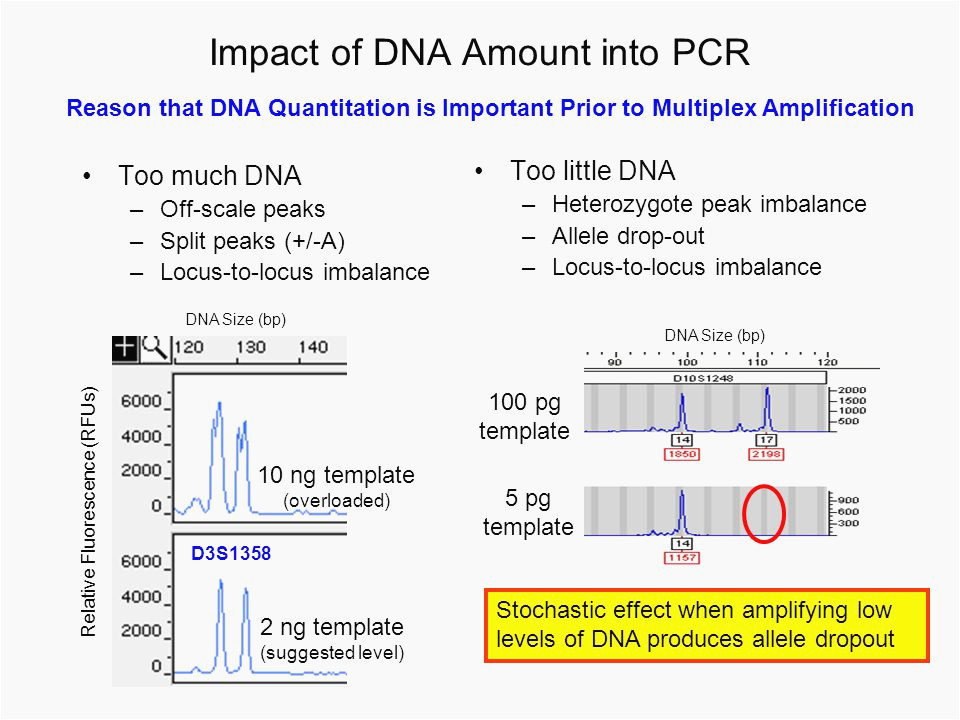 more inspired how much template dna for pcr trend