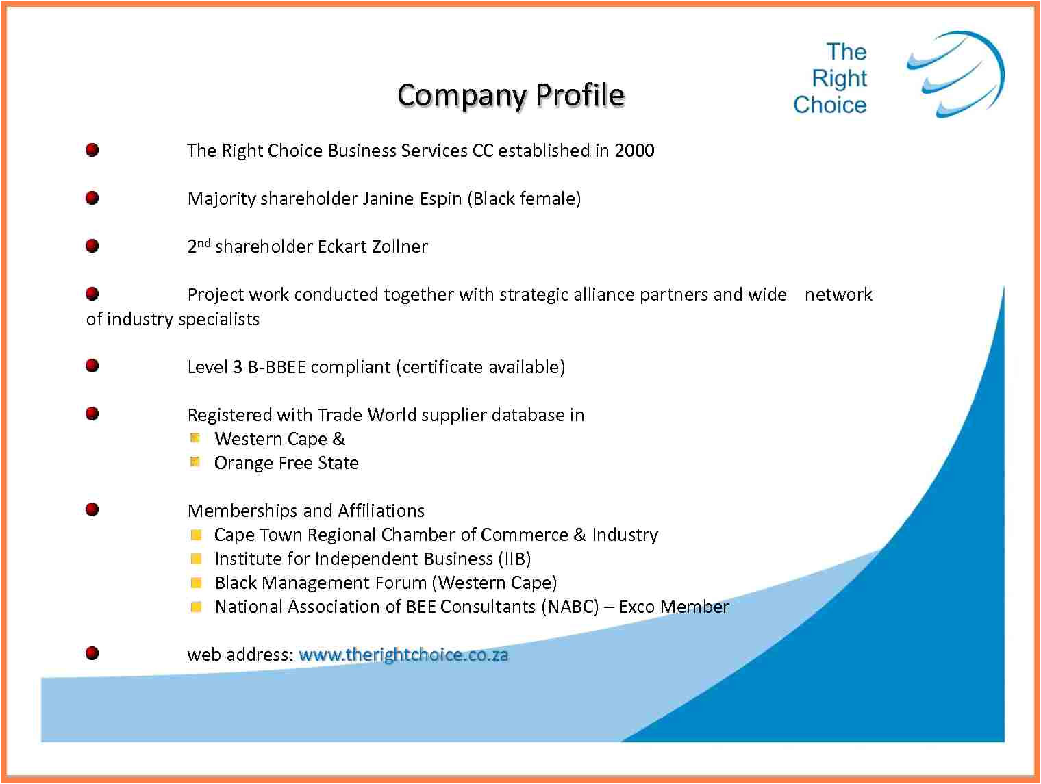 Industry Profile Template 5 Company Business Profile Template Company Letterhead
