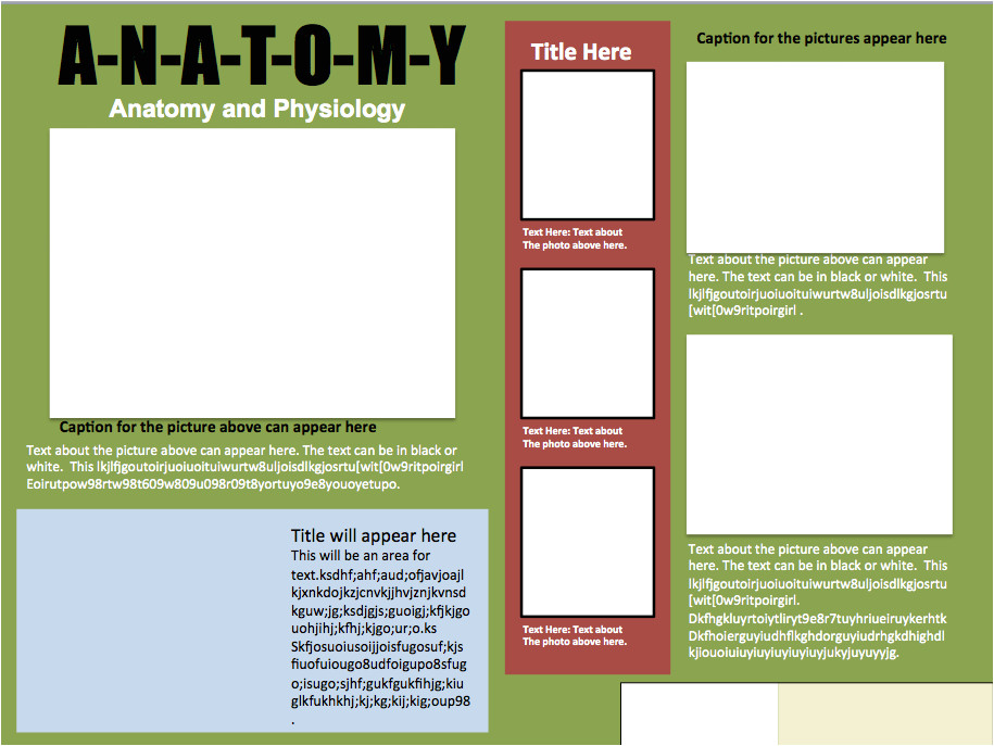 Informative Poster Template Informational Poster Template Design 1 Instructional
