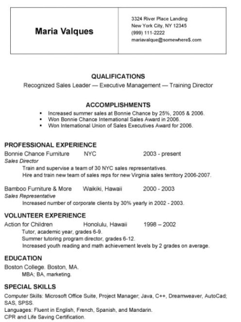 mini resume
