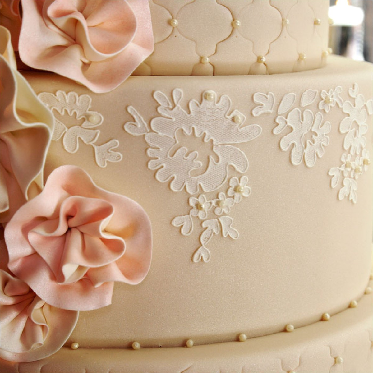Lace Templates for Cakes Alencon Lace Border Stencil