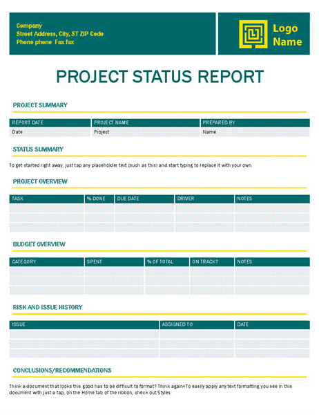 ms project 2013 report templates