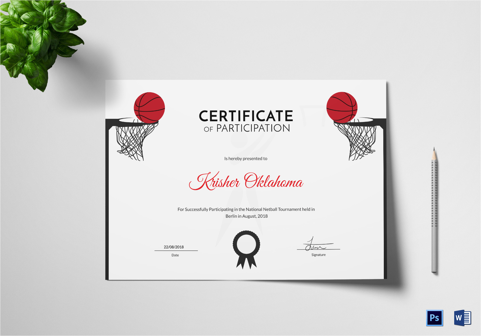 netball sports certificate
