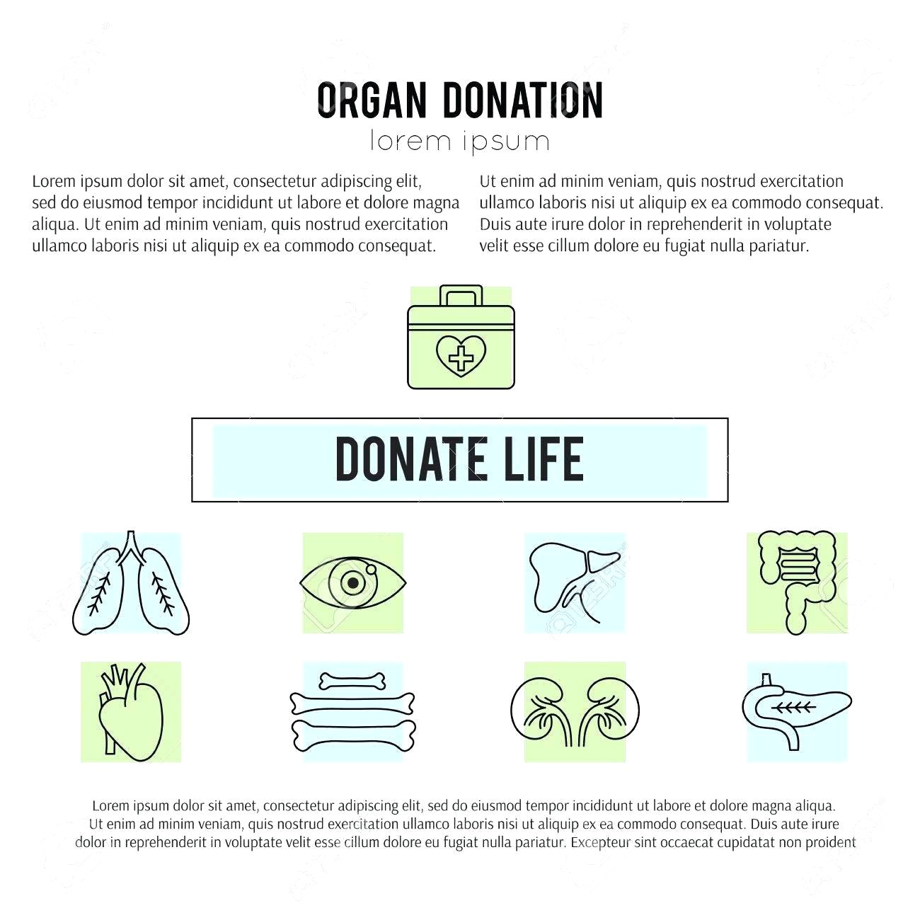 organ donor card template