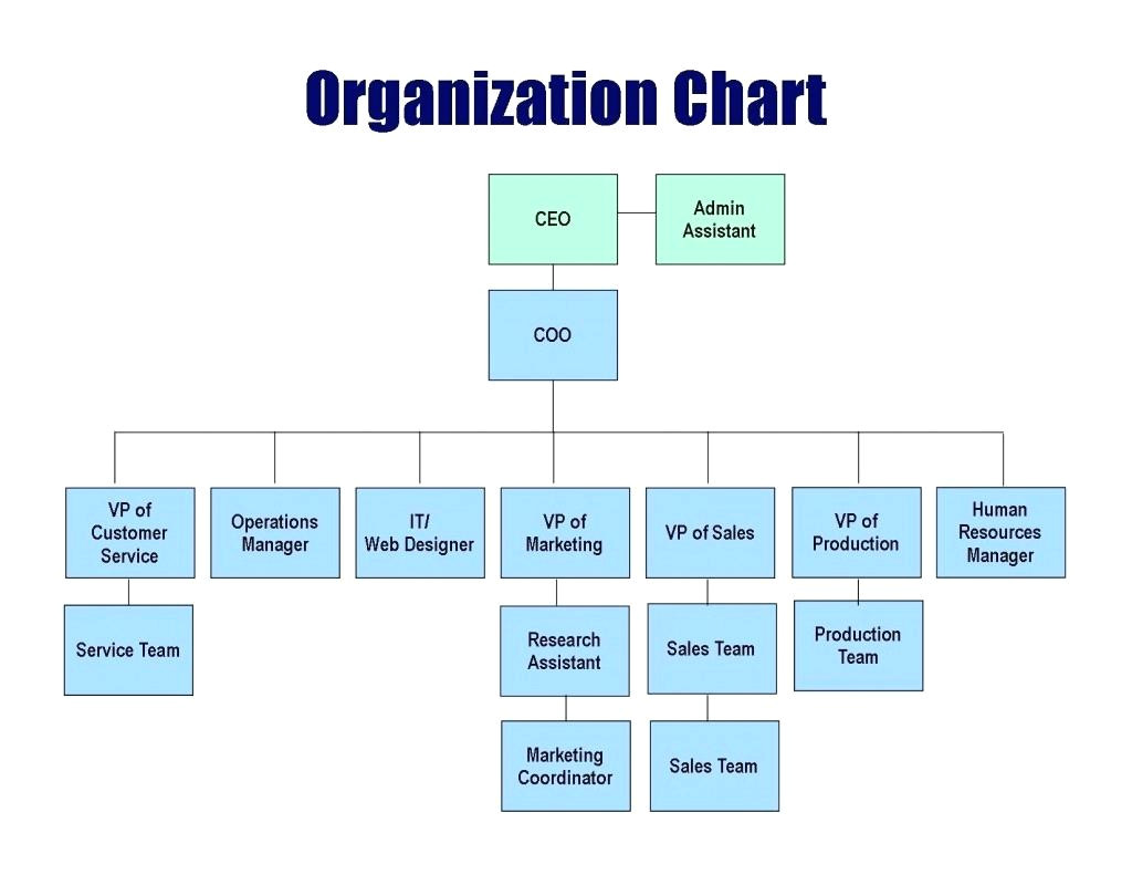 team org chart