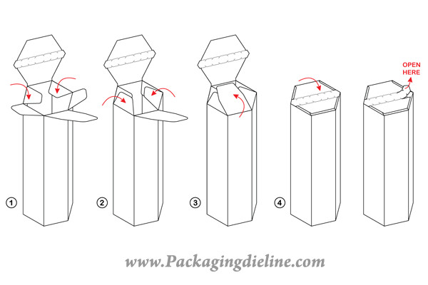 free packaging dieline template vector