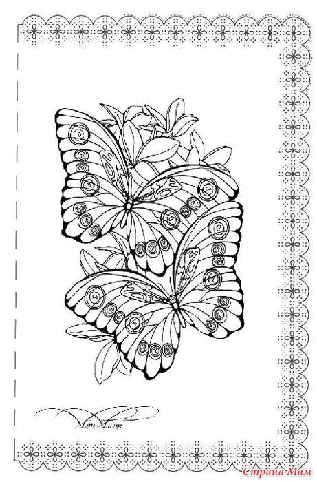 Pergamano Templates Free Schemes for Pergamano Discussion On Liveinternet