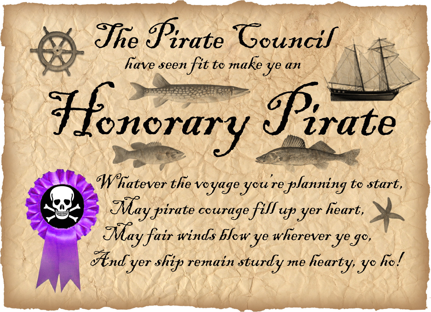 honorary pirate certificate by leone annabella betts