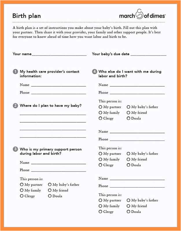 10 11 birth plan template pdf and pages mactemplatescom