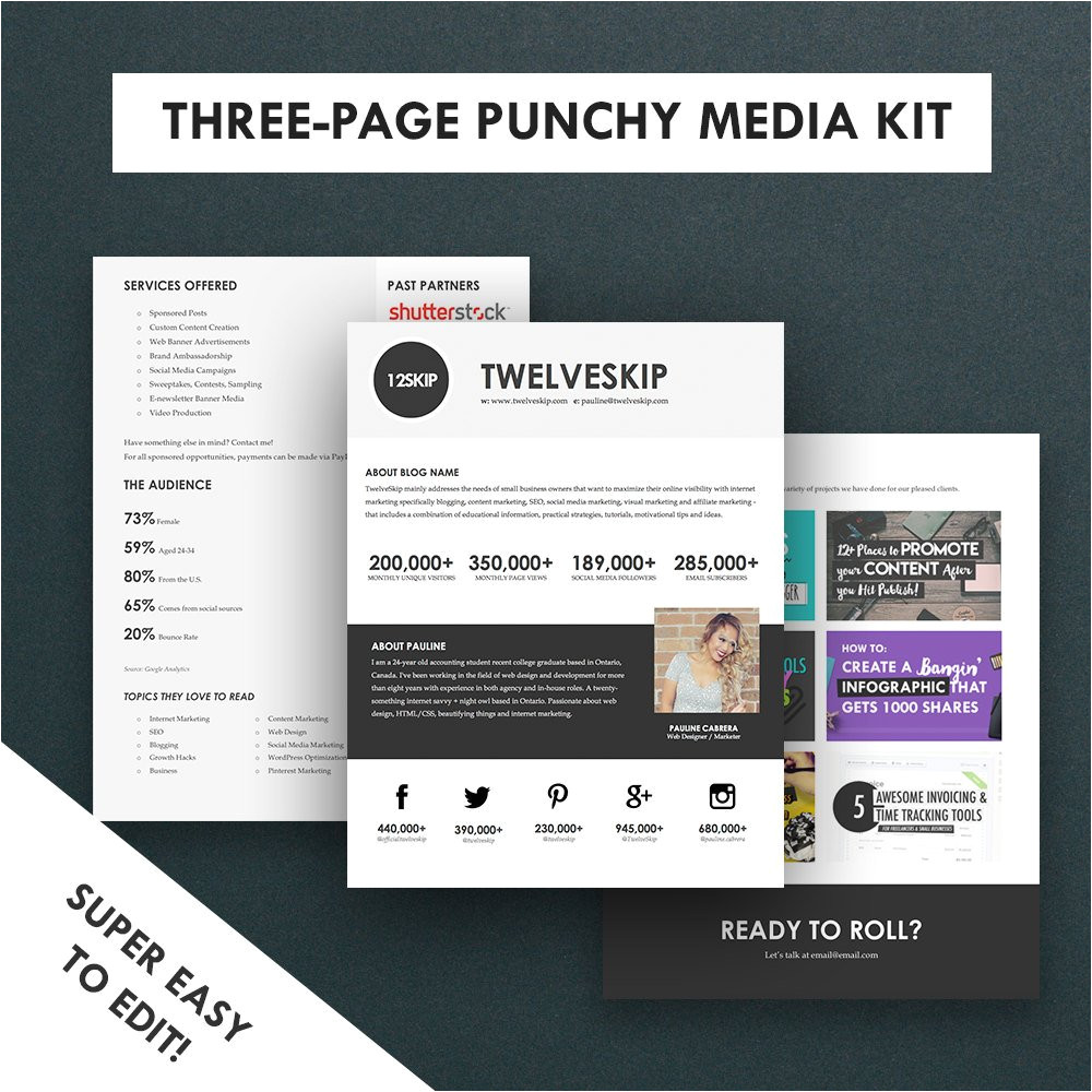 minimalist media kit template press kit