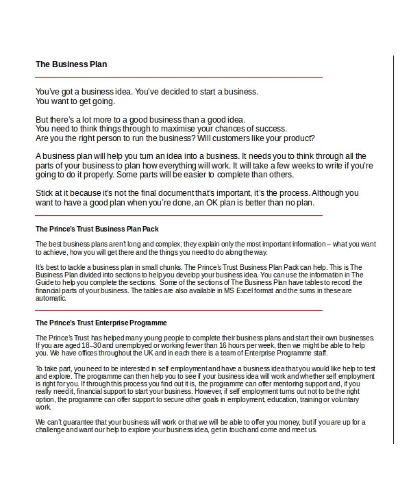 writing a business plan prince trust