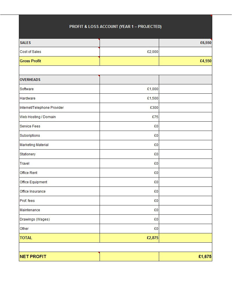 Profits and Losses Template 35 Profit and Loss Statement Templates forms