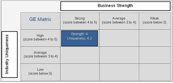 what is the ge strategic business unit sbu matrix