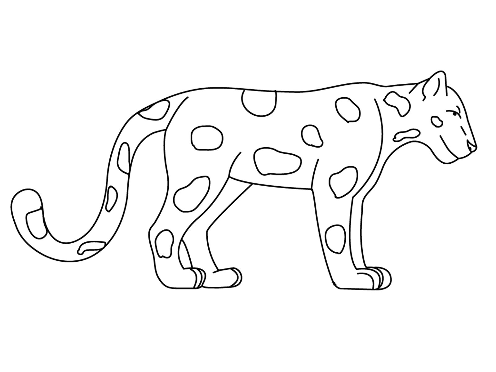 jaguar animal coloring pages