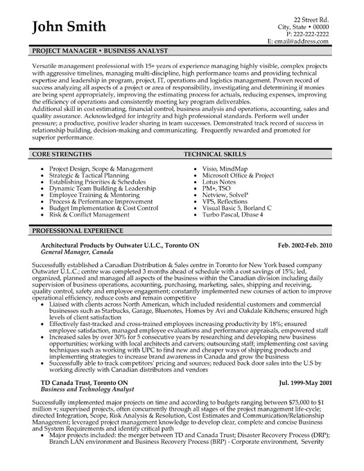 business analyst resume examples template