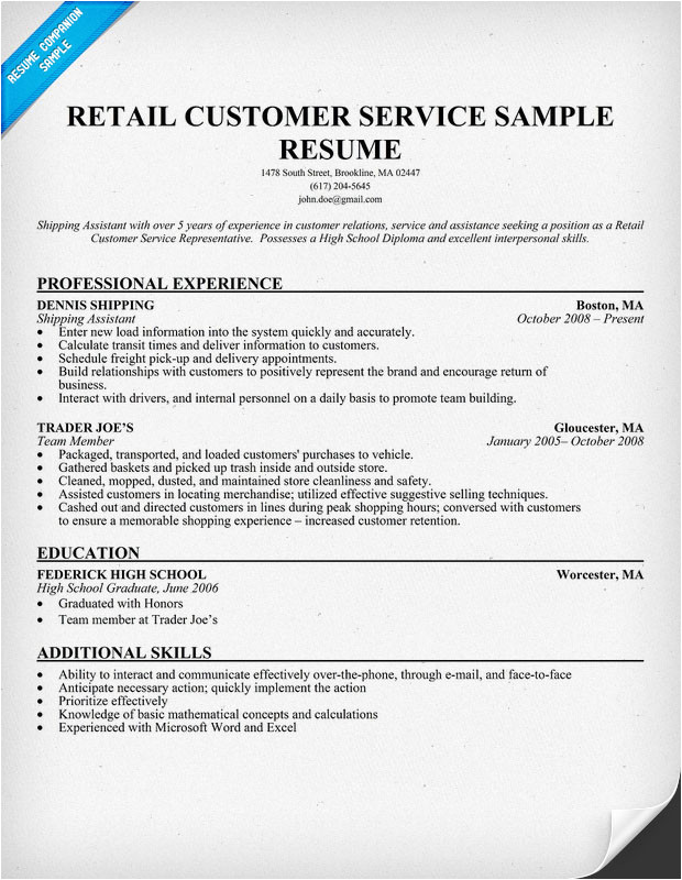 chronological resume format samples and writing guide