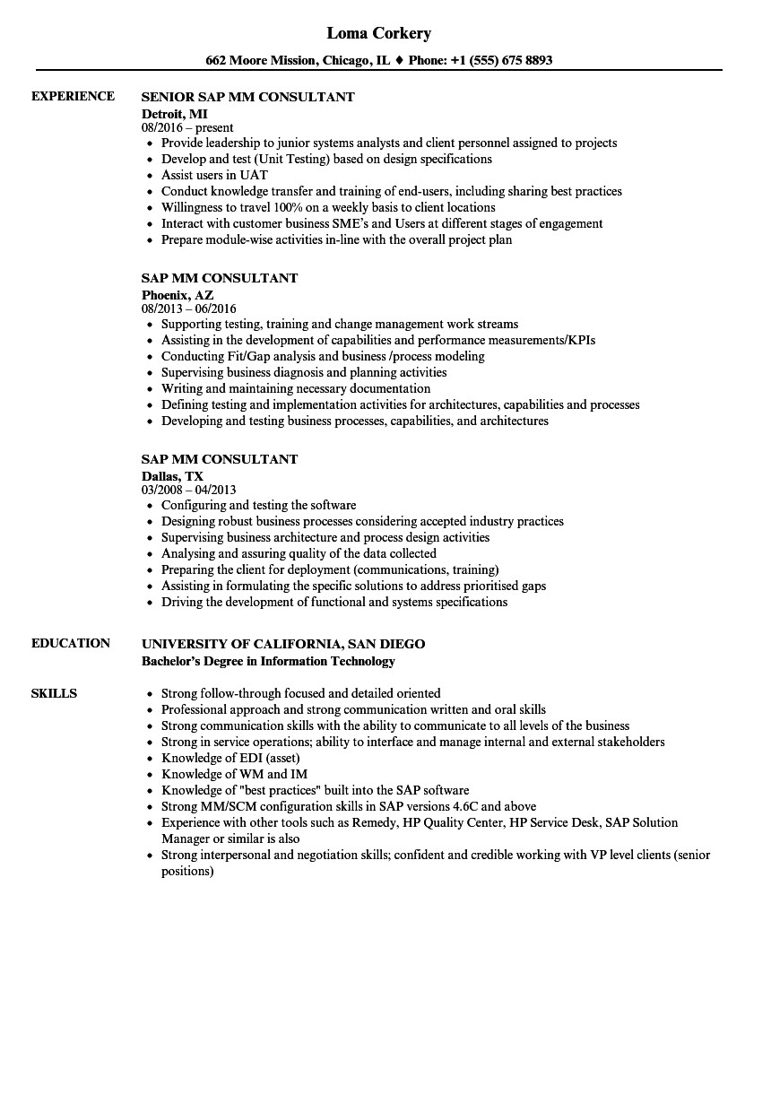 business process consultant sample resume