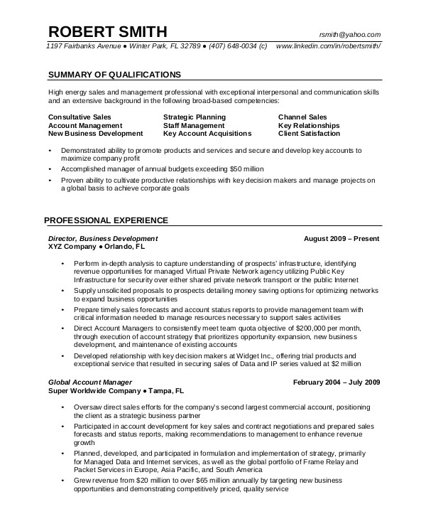 professional resume example
