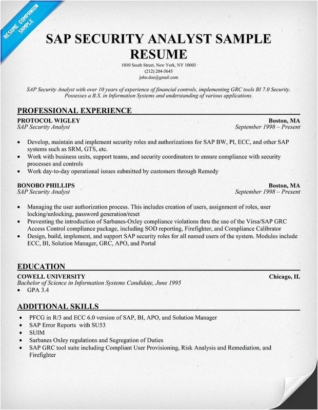 sap bi sample resume