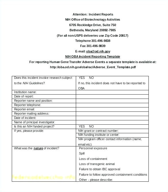 scholarship guidelines template