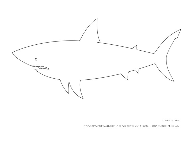 shark drawing template