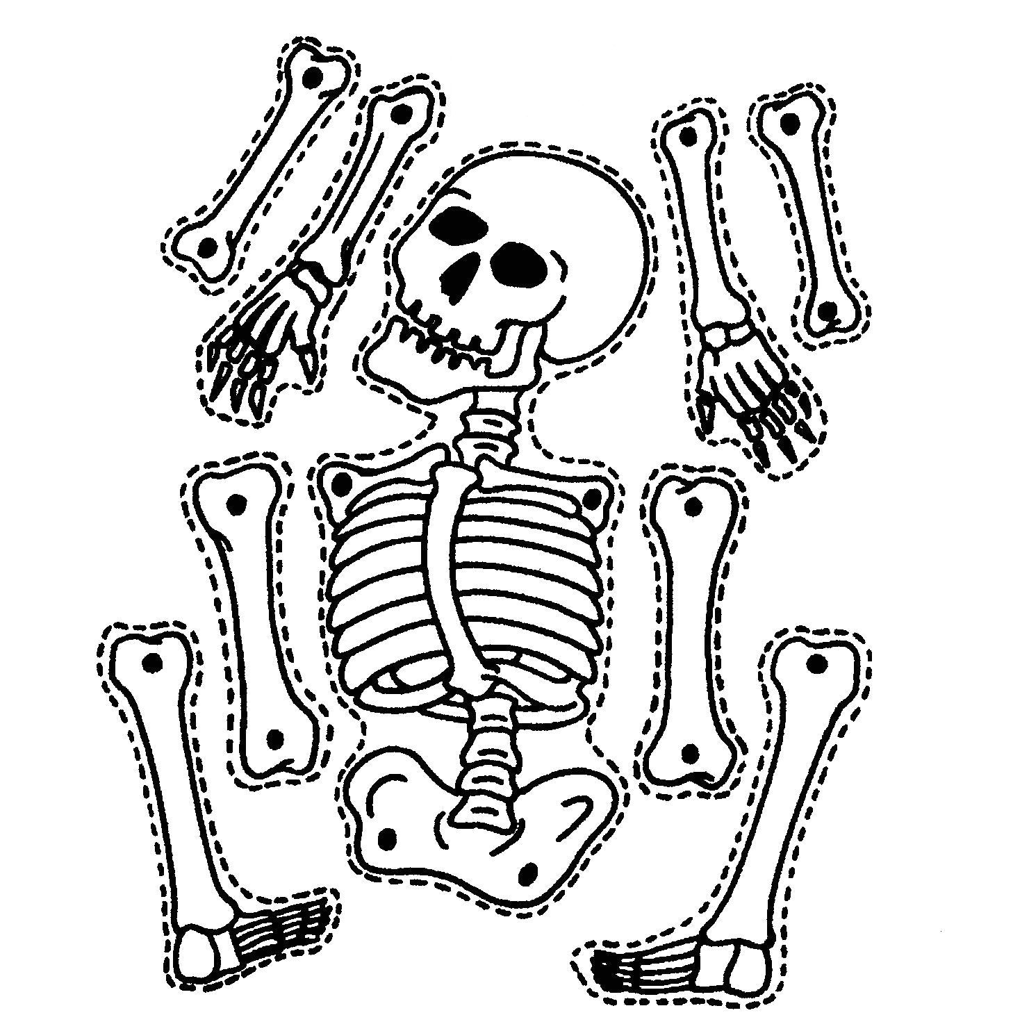 Skeleton Template to Cut Out 5 Ways to Teach Kids About their Body Cleverly Changing