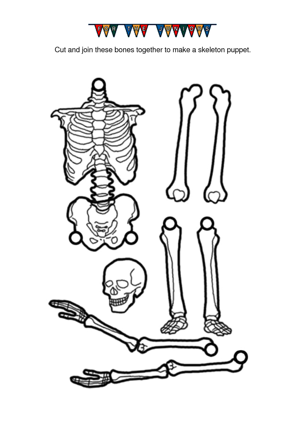 post printable skeleton cut out 60211