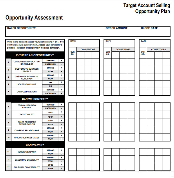 Target Account Selling Template Sample Account Plan Template 9 Free Documents In Pdf Word