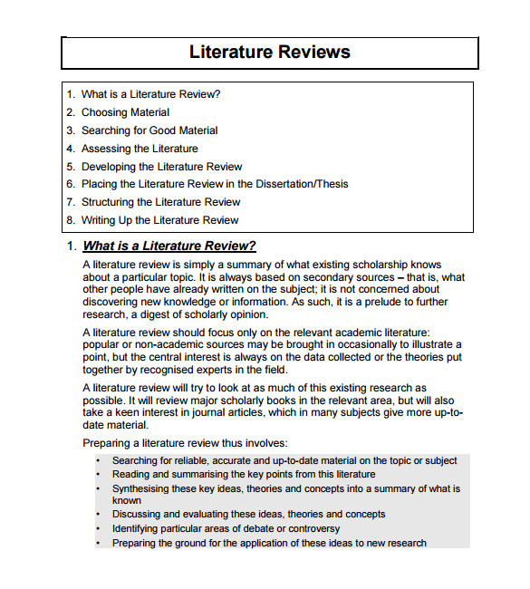 literature review template