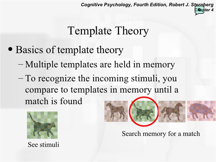 Template Matching theory Perception