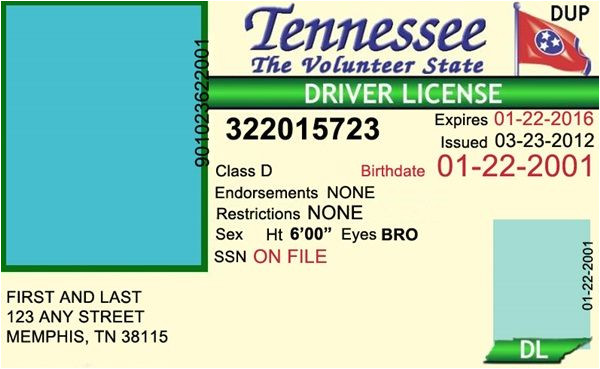 Tennessee Drivers License Template Tennessee Drivers License Editable Psd Template Download