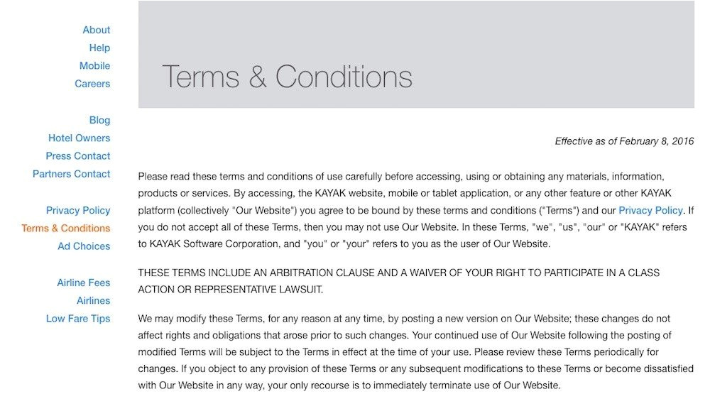 sample terms and conditions template