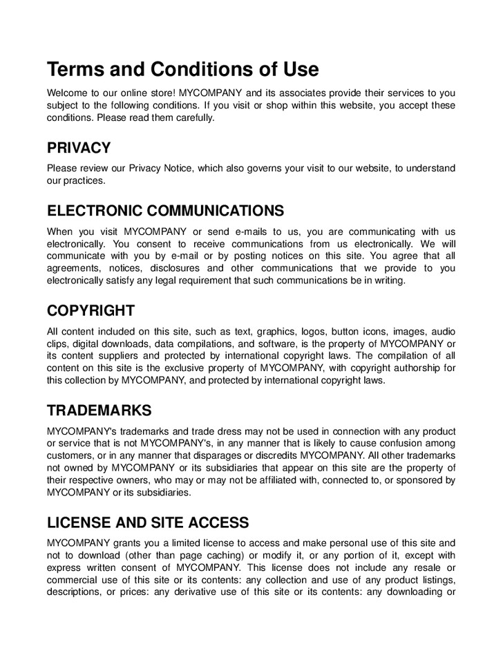 terms and conditions for online store template