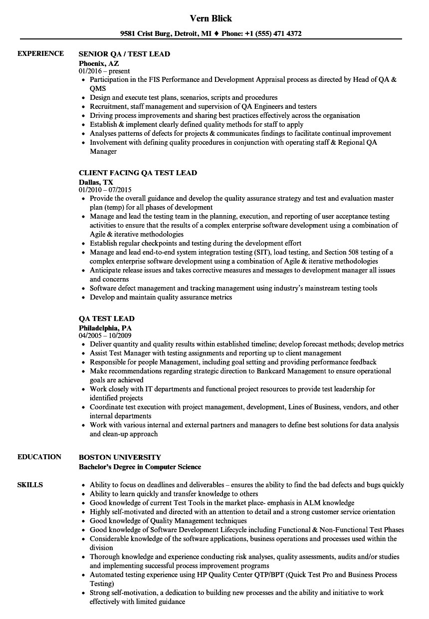 test lead resume