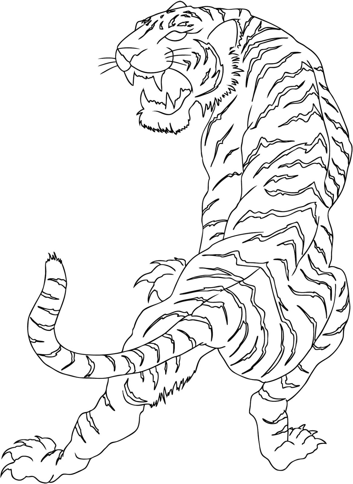 Tiger Tattoo Template 1 Tiger Tattoo Template Wild White Tiger Tattoo Tattoo Designs Ideas Gallery