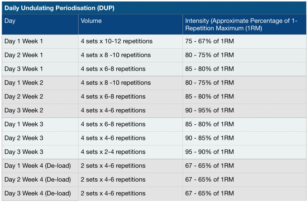 Undulating Periodization Template Daily Undulating Periodisation Dup 101 Jc Fitness