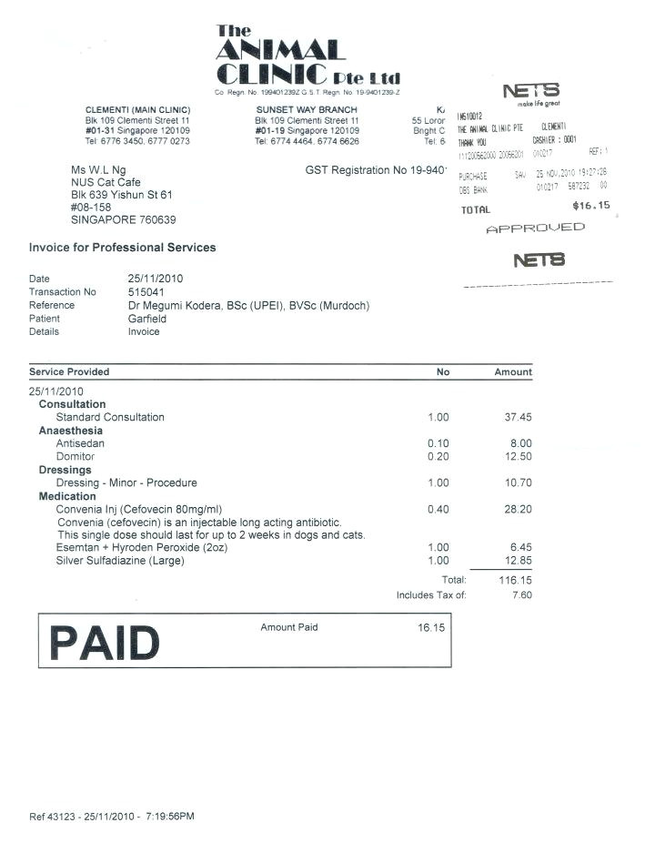 Veterinary Receipt Template Vet Invoice Free Latest Veterinary Invoice Template forms
