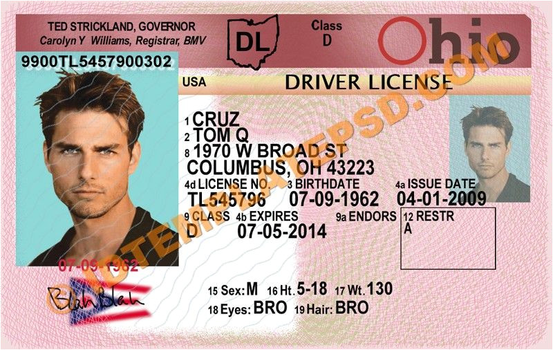 wisconsin drivers license template