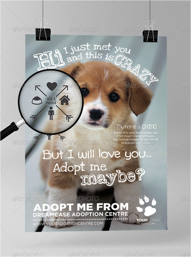 animals adopt flyer 2