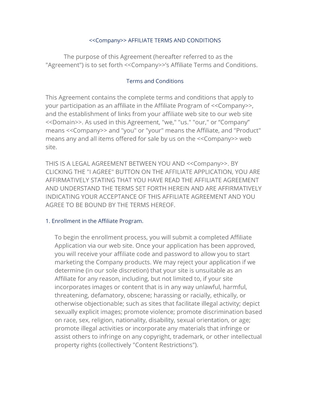 affiliate terms policy agreement template