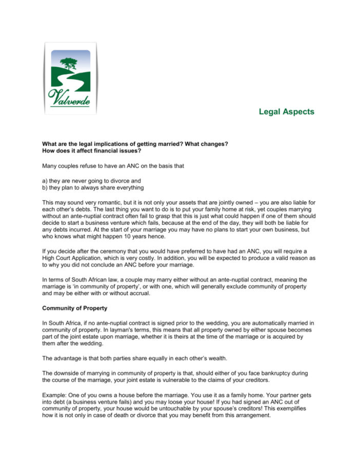 Antenuptial Contract Template south Africa Affidavit Template Word south Africa Templates Resume