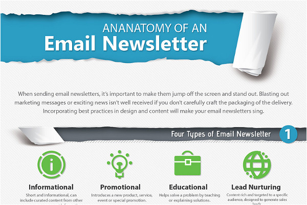 the ultimate email newsletter boilerplate template