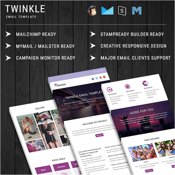 twinkle responsive email template