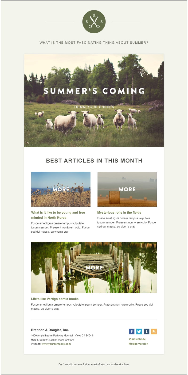 email newsletter templates psd