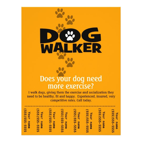 dog walking business tear sheet flyer template 244675328149088322