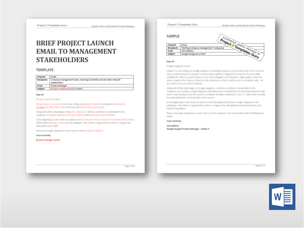 brief project launch email management stakeholders