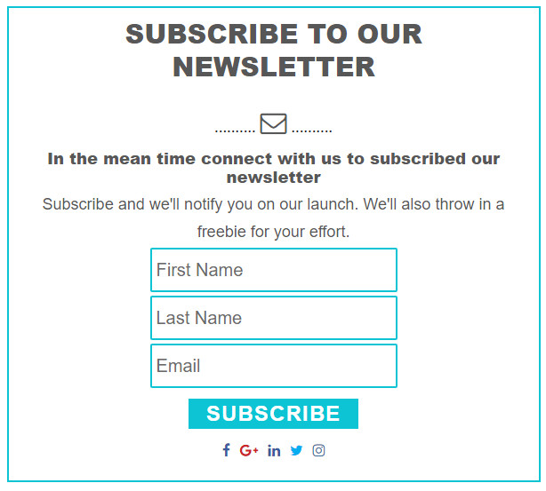 newsletter subscription form