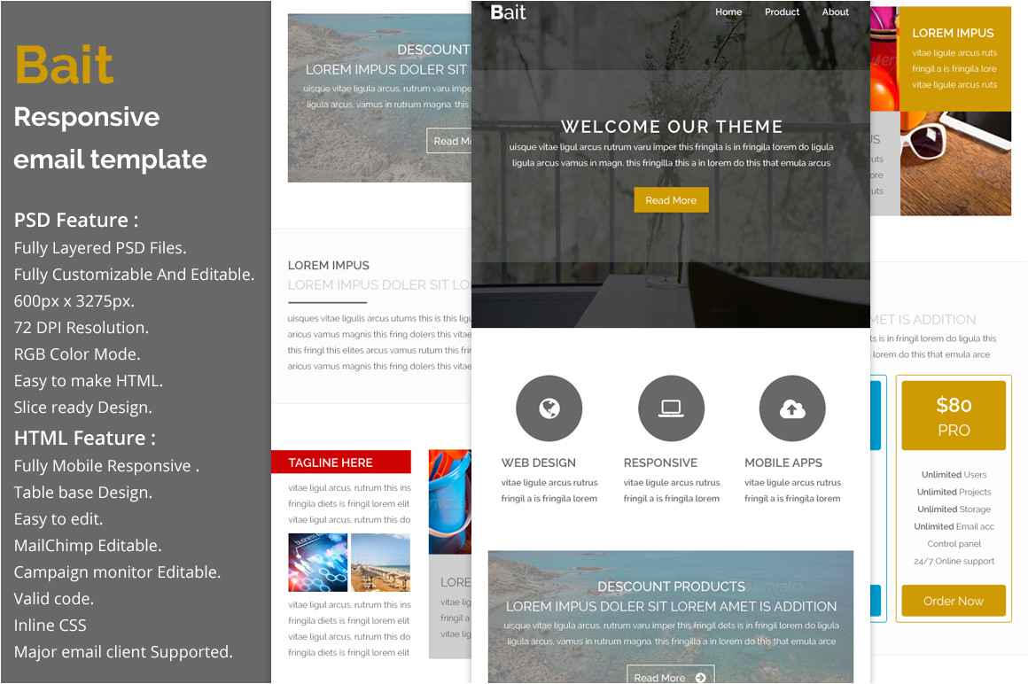 260195 bait responsive email template