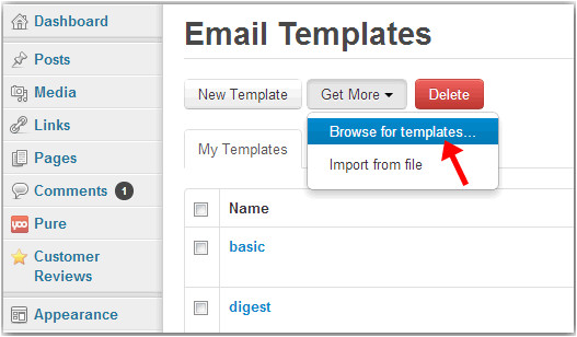how to use hot email templates in wpnewsman plugin