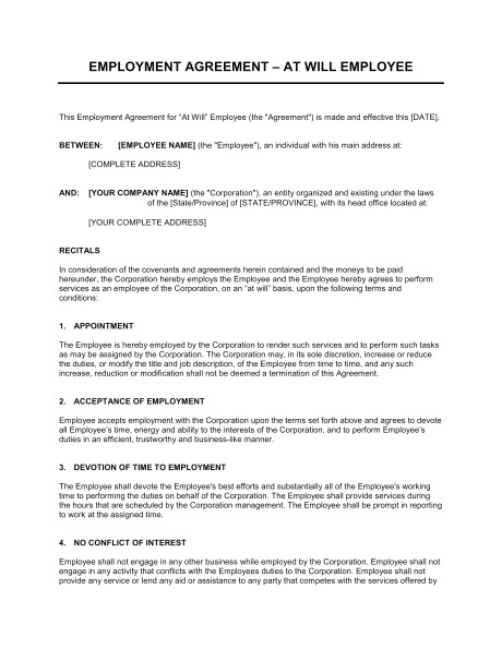 employment agreement at will employee d541
